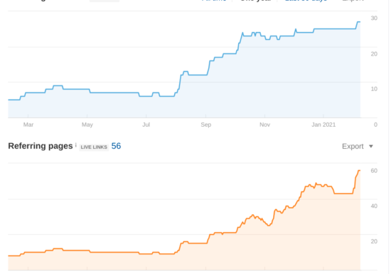 SEO Results of Local Ottawa Client (Cir. 2020)